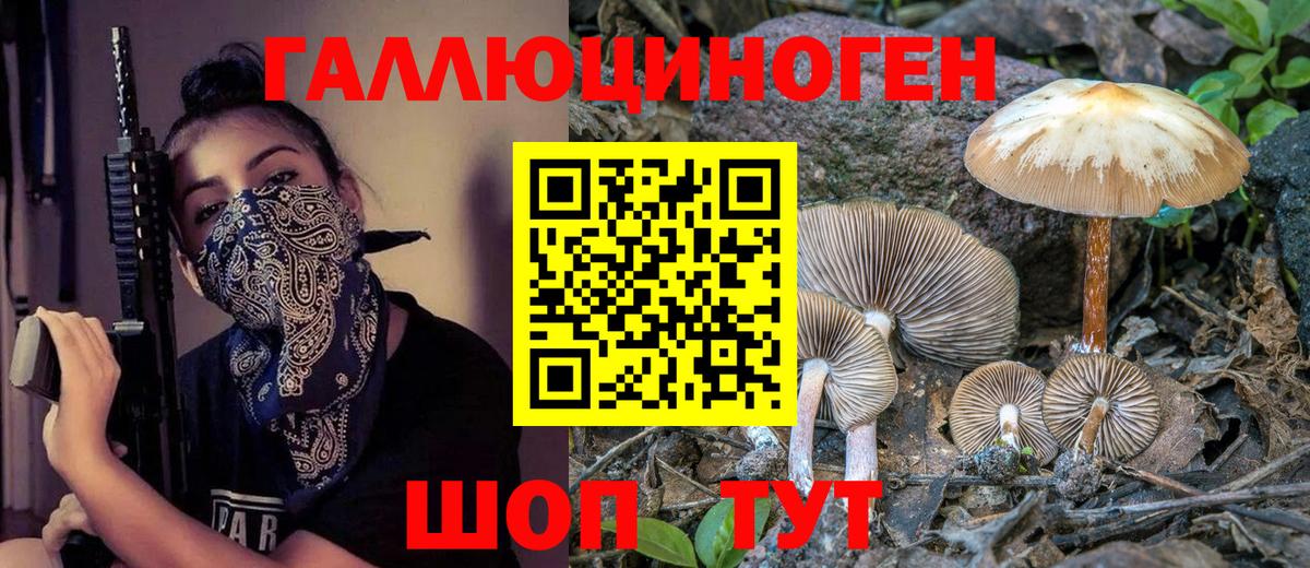 Псилоцибиновые грибы Cubensis Шали
